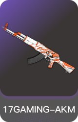 17GAMING-AKM
