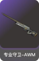 专业守卫-AWM