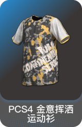PCS4 金意挥洒运动衫