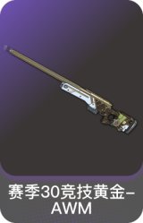 赛季30竞技黄金-AWM