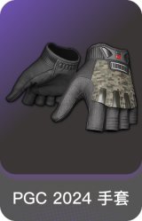 PGC 2024 手套