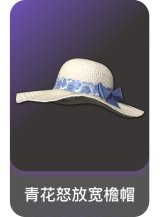 青花怒放宽檐帽