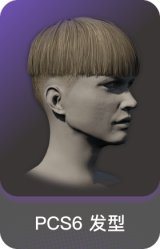 PCS6 发型