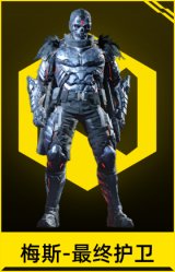 梅斯-最终护卫