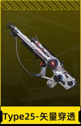 Type25-矢量穿透