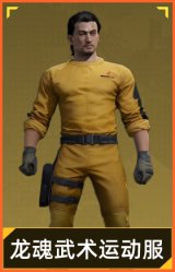 龙魂武术运动服
