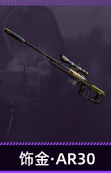 饰金·AR30