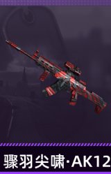骤羽尖啸·AK12