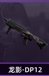 龙影·DP12