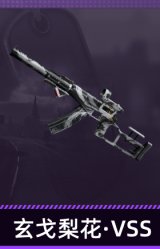 玄戈梨花·VSS