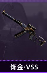 饰金·VSS