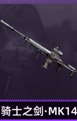 骑士之剑·MK14