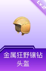 金属狂野镶钻头盔(2级)