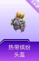 热带缤纷头盔(2级)