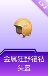 金属狂野镶钻头盔(1级)