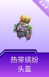 热带缤纷头盔(1级)