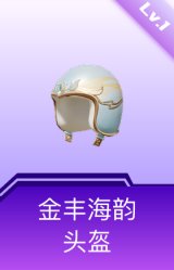 金丰海韵头盔(1级)
