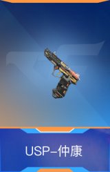 USP-仲康