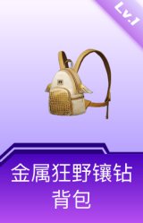 金属狂野镶钻背包(1级)