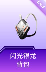 闪光银龙背包(1级)