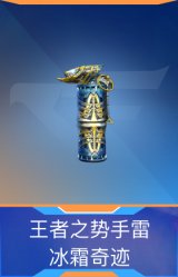 王者之势手雷-冰霜奇迹