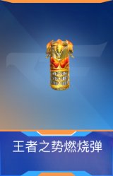 王者之势燃烧弹