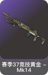 赛季37竞技黄金 - Mk14