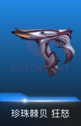狂怒-珍珠棘贝