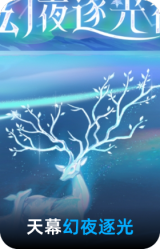 幻夜逐光