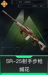 SR-25射手步枪-缄花