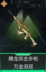 腾龙突击步枪-万金泪冠