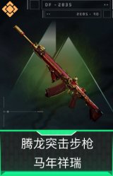 腾龙突击步枪-马年祥瑞