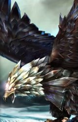 联盟之喙 艾尼维亚