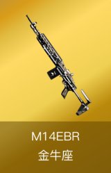 M14EBR-金牛座