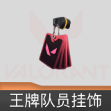 王牌队员挂饰