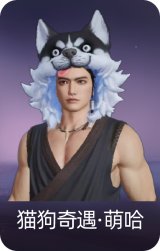 猫狗奇遇·萌哈