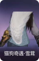 猫狗奇遇·雪茸