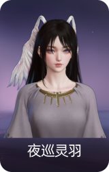 夜巡灵羽