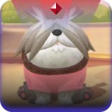 狗狗战队 遮眼系 混沌