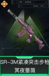 SR-3M紧凑突击步枪-冥夜蔷薇