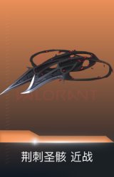 荆刺链刃-荆刺圣骸