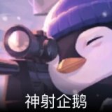 神射企鹅卡面