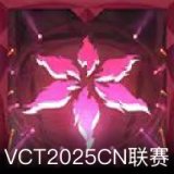 VCT2025CN联赛卡面