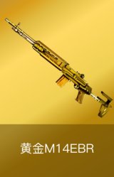 黄金M14EBR