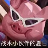 战术小伙伴的夏日卡面