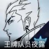 王牌队员夜露卡面