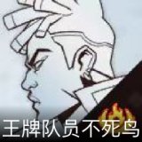 王牌队员不死鸟卡面