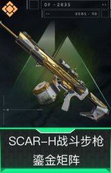 SCAR-H战斗步枪-鎏金矩阵