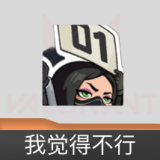 我觉得不行 喷漆