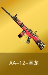 AA-12-圣龙